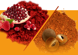 Extract Powders